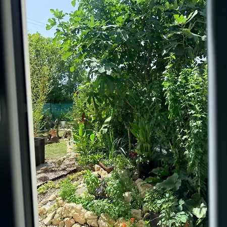 Boheme Avec Salle De Bain Privee Et Vue Jardin Campagne Bordelaise Villenave-de-Rions