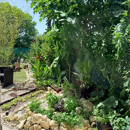 Boheme Avec Salle De Bain Privee Et Vue Jardin Campagne Bordelaise Villenave-de-Rions